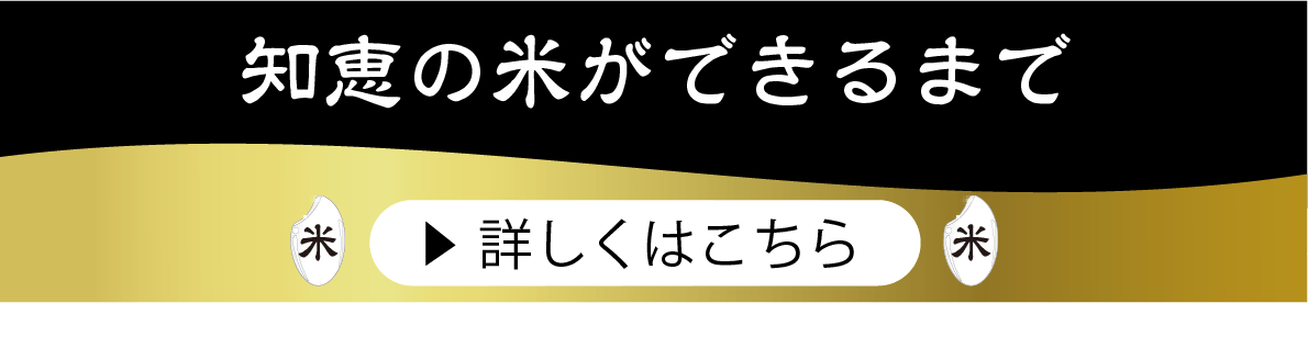 知恵の米ができるまでボタン